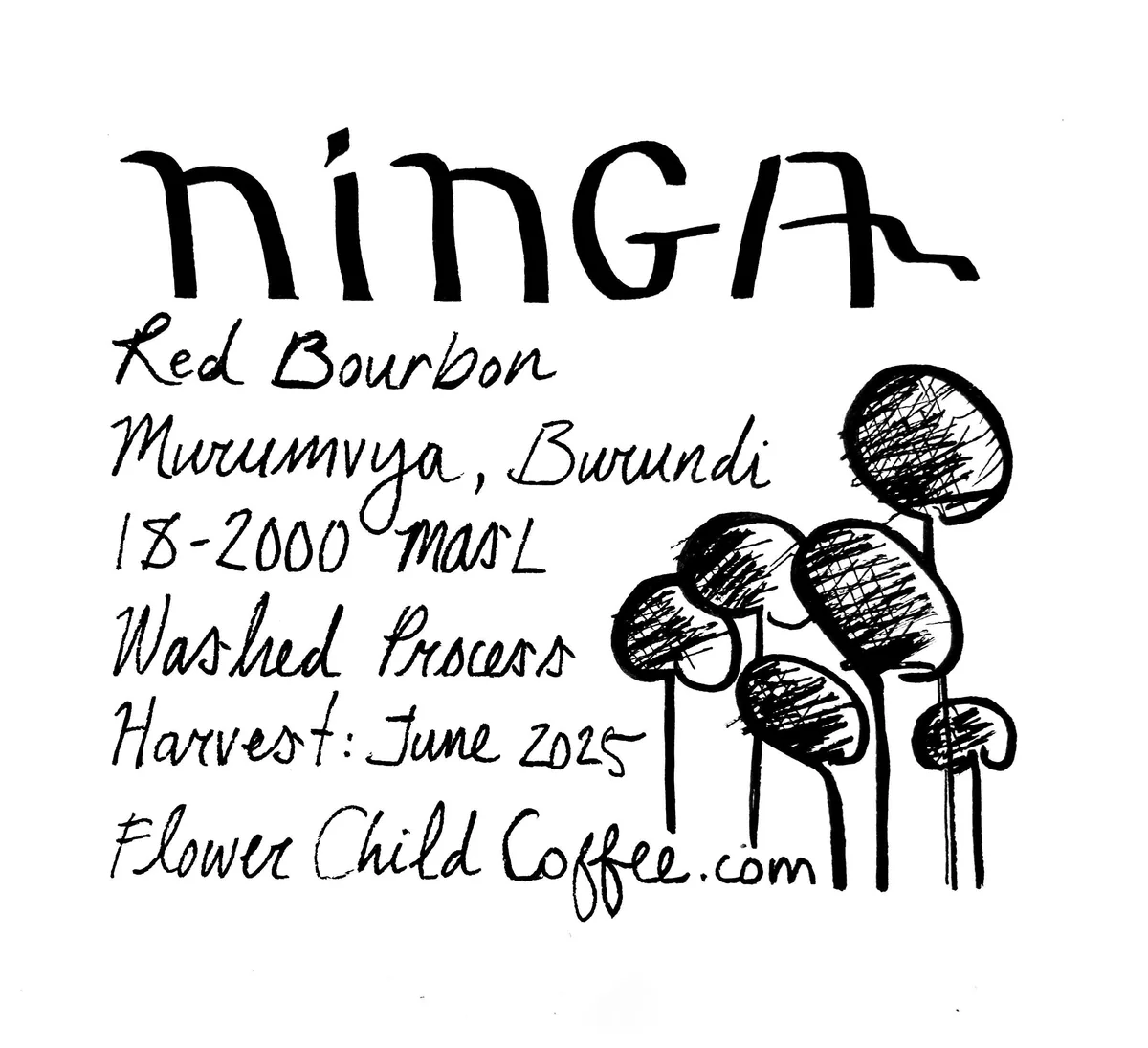 ninga coffee by flower child