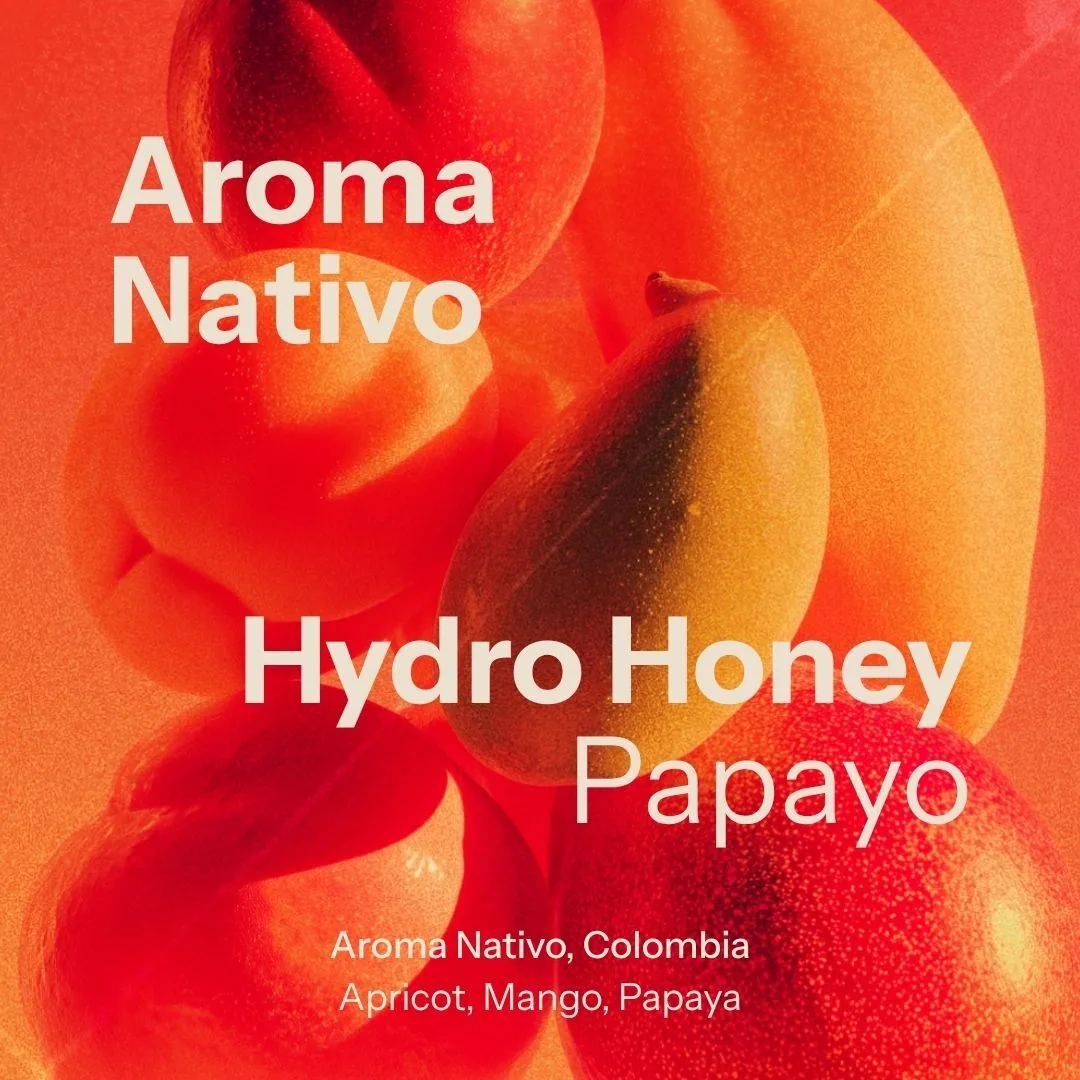 papayo (colombia) coffee by nostos coffee