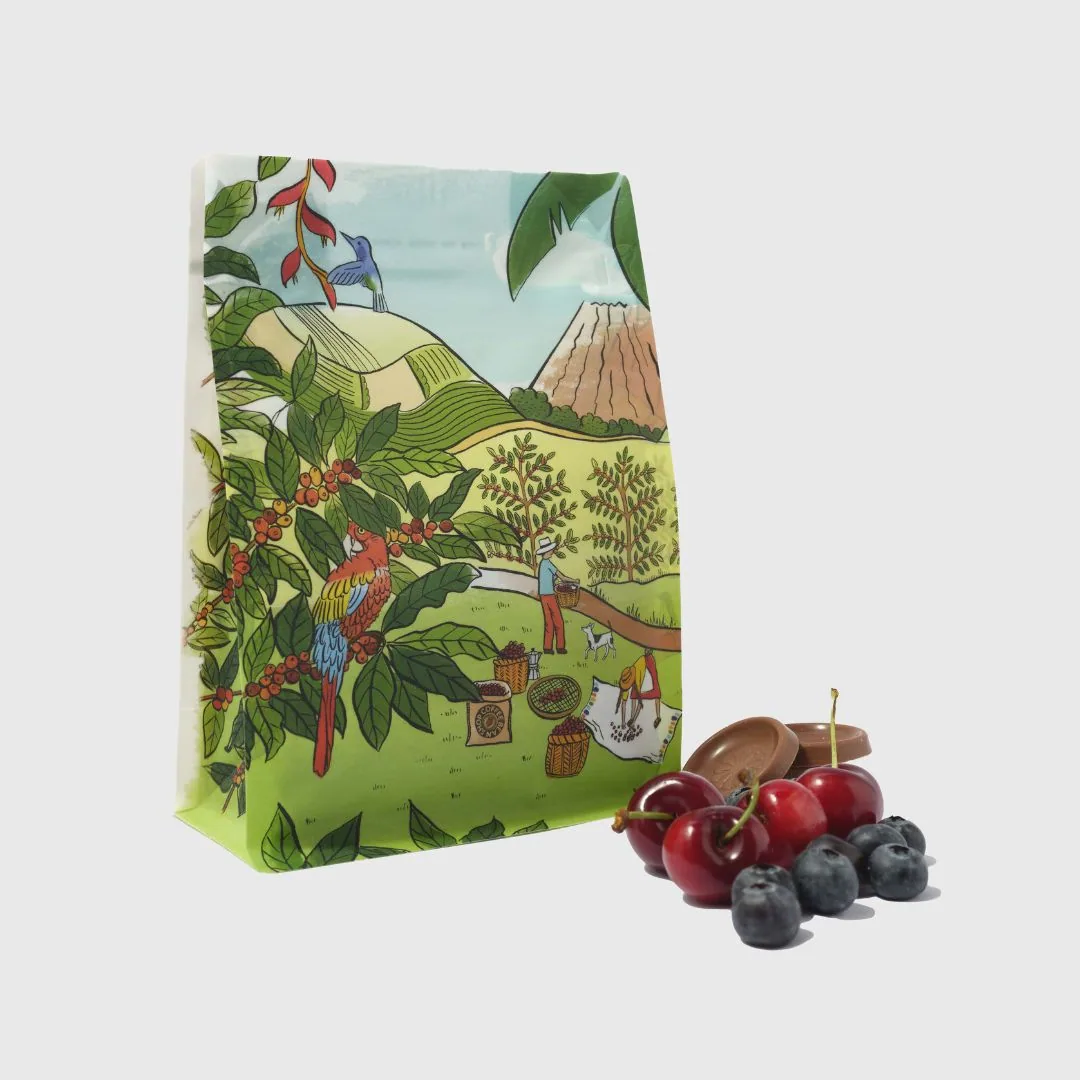guatemala el fogon coffee by coffee bean shop