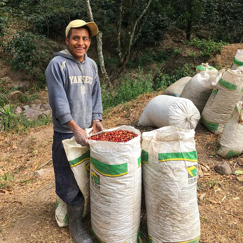 guatemala linda vista washed - espresso - guatemala coffee by cubbyhouse coffee
