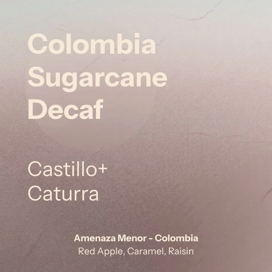 decaf (colombia) coffee by nostos coffee