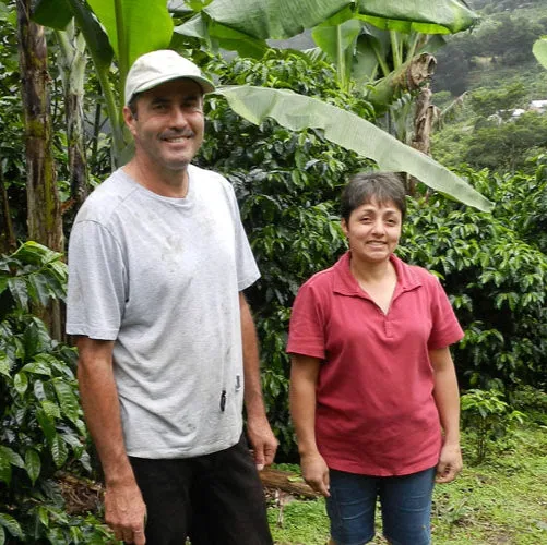 farami - raw green coffee - costa rica coffee by transcend coffee and roastery