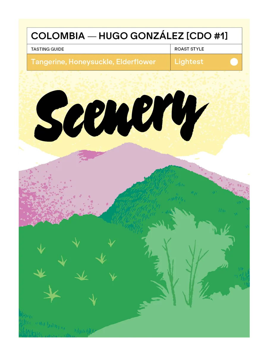 colombia - hugo gonzález's gesha [copa de oro - grand champion] coffee by scenery