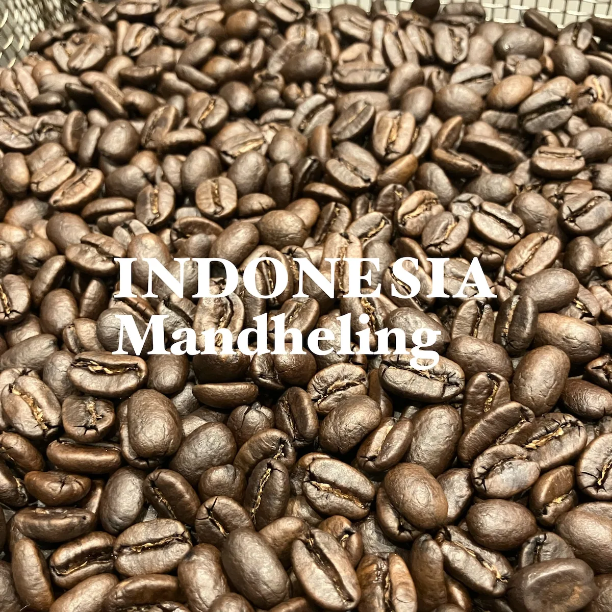 インドネシア・マンデリン 200g/indonesia・mandheling coffee by jupiters coffee roasters