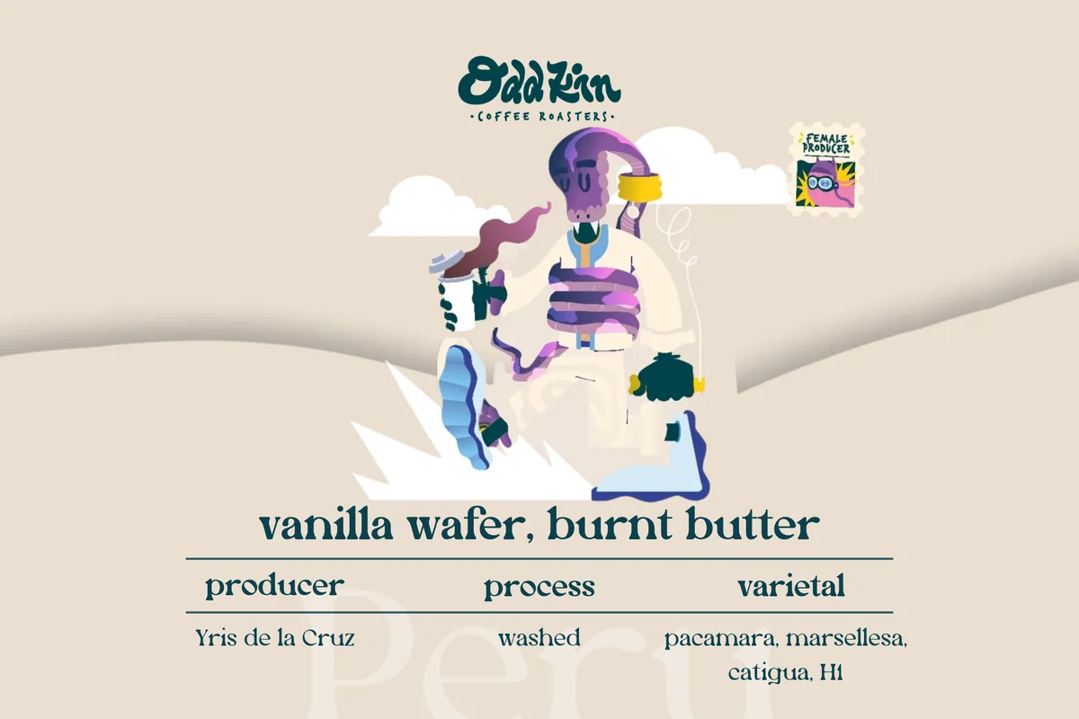 de la cruz, peru coffee by oddkin coffee roasters