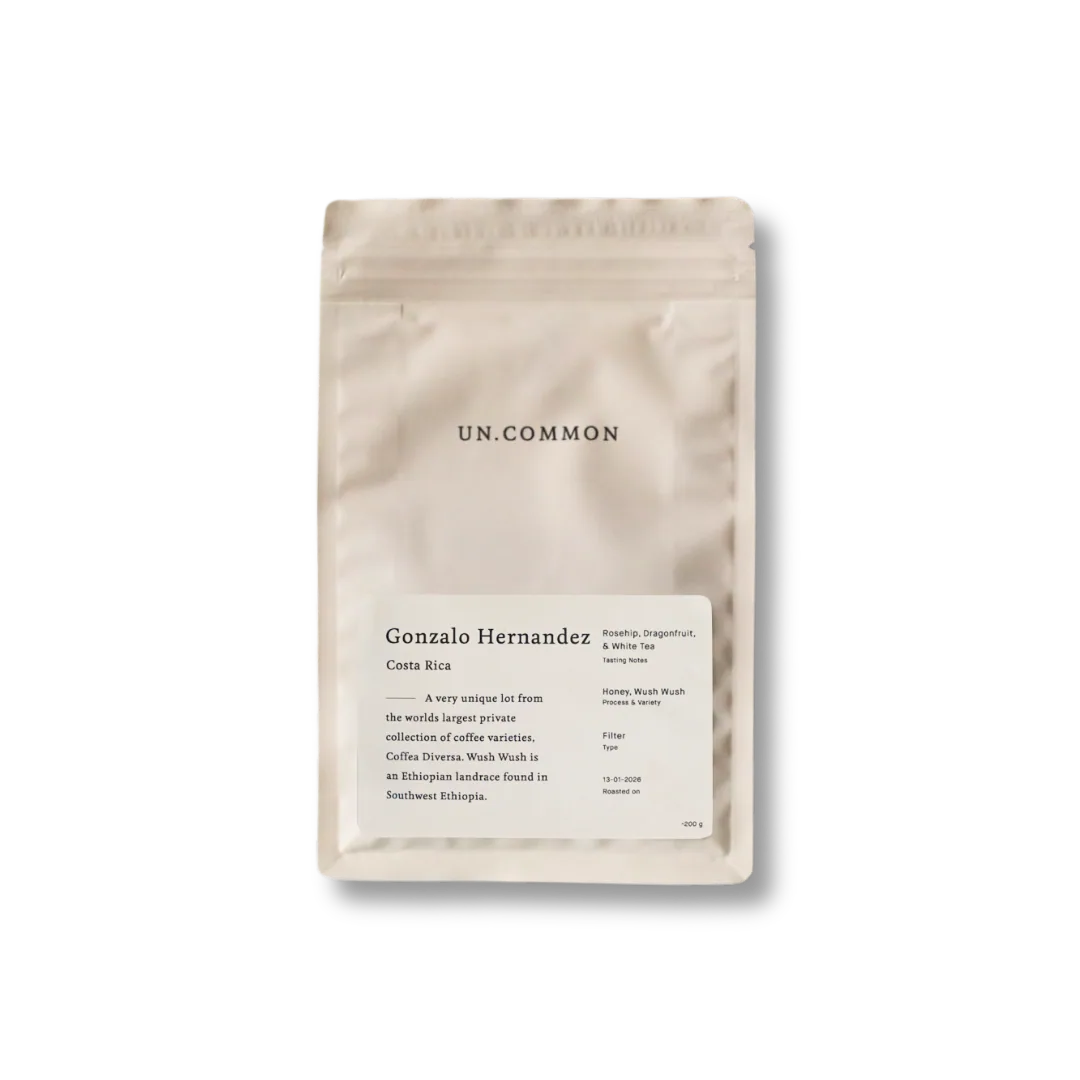 holland edition 04 / gonzalo hernandez (private collection lot) coffee by the right roast
