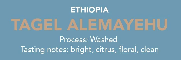 dose - ethiopia, tagel alemayehu coffee by methodical coffee