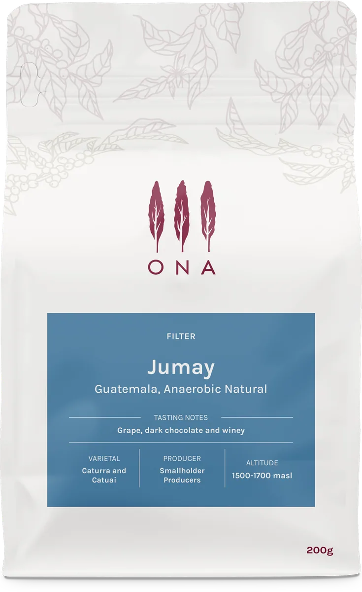 jumay, guatemala, anaerobic natural - guatemala coffee by ona