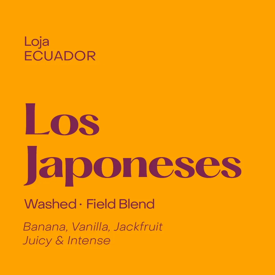 ecuador los japoneses, washed field blend coffee by subtext coffee roasters