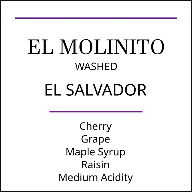 el salvador el molinito medium roast coffee by pebble and pine coffee