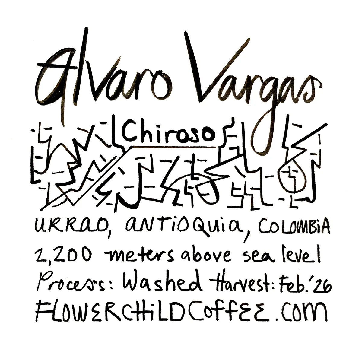alvaro vargas - chiroso - ethiopia + colombia + yemen coffee by flower child