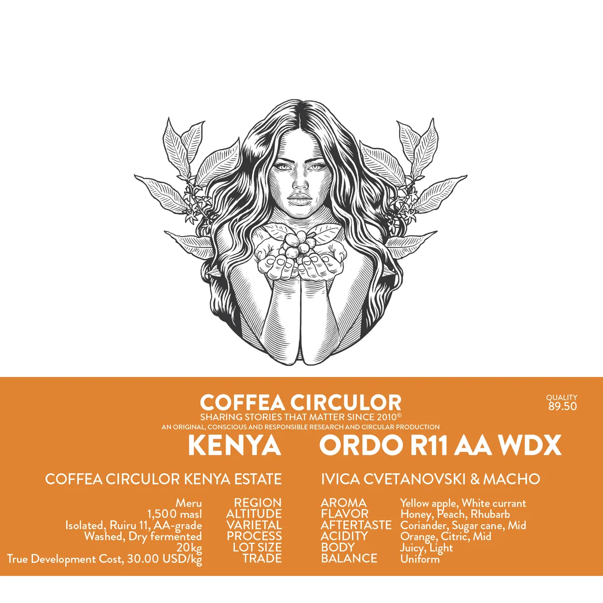 kenya coffea circulor ordo isolated ruiru 11 aa washed wx - kenya coffee by coffea circulor