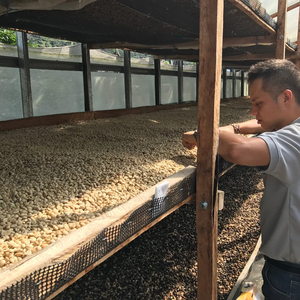 volcán coffee by thomsons coffee roasters