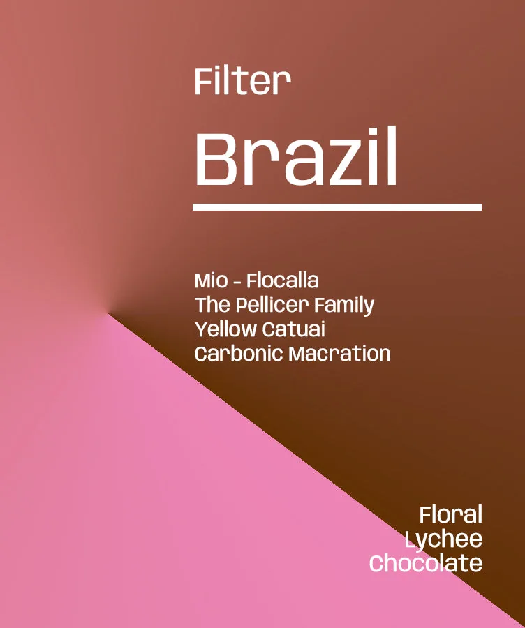 brazil fazenda mio flocalla - rare/exclusive filter coffee by lucid coffee roasters(side of carpetworld, hidden)