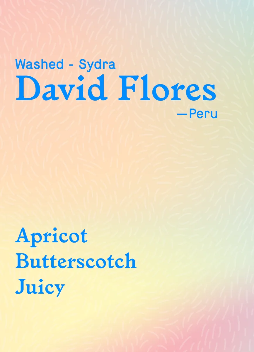 david flores coffee by little wolf coffee