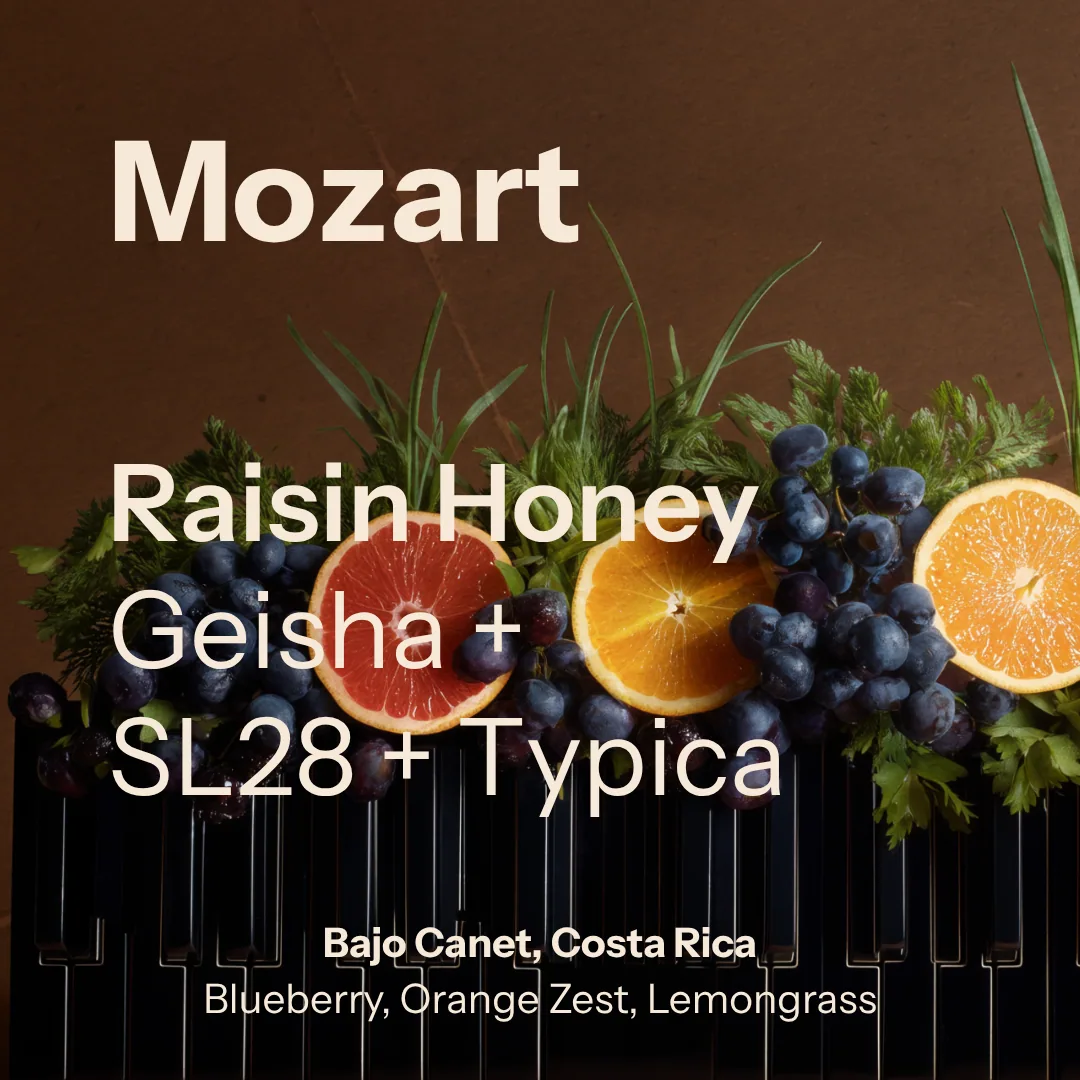 mozart (costa rica) coffee by nostos coffee