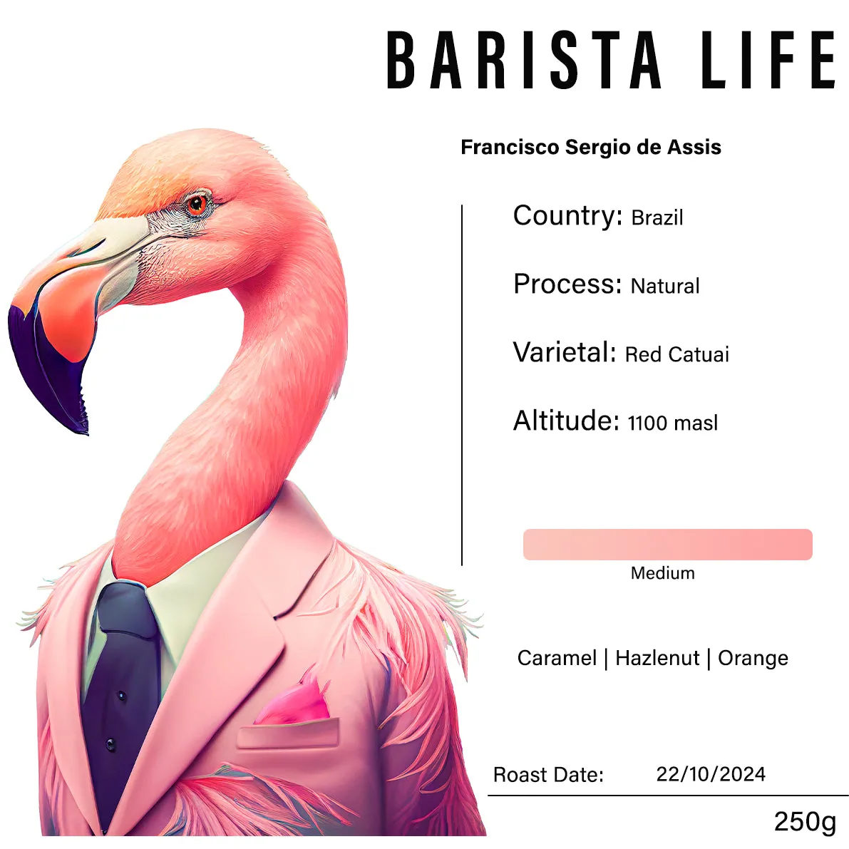 brazil - francisco sergio de assis coffee by barista life ltd