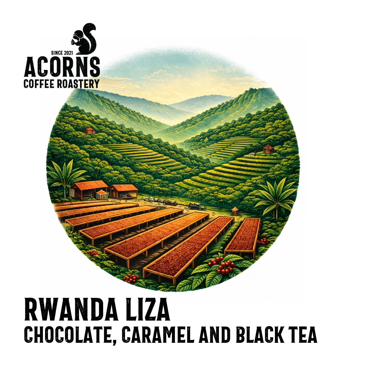 rwanda liza coffee by acorns coffee and cake