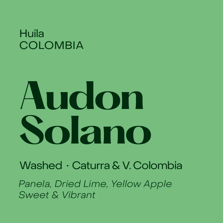 colombia audon solano, washed caturra & v. colombia coffee by subtext coffee roasters