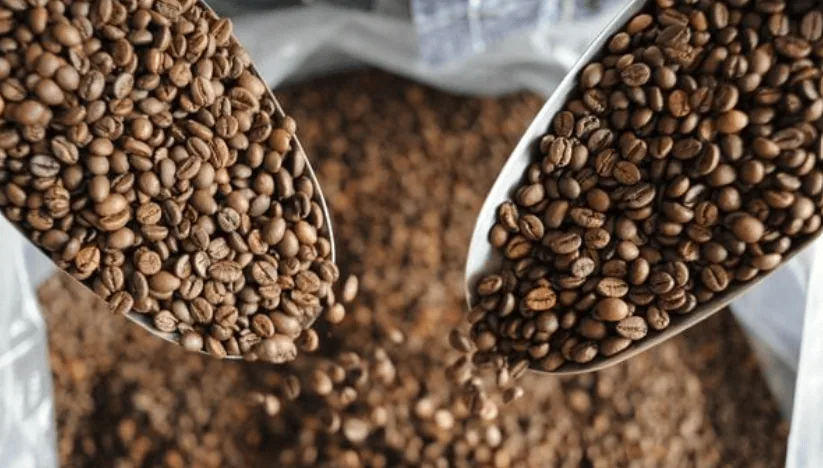 build your own blend coffee by king carlos coffee roasters
