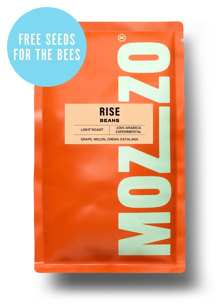 rise coffee by mozzo coffee
