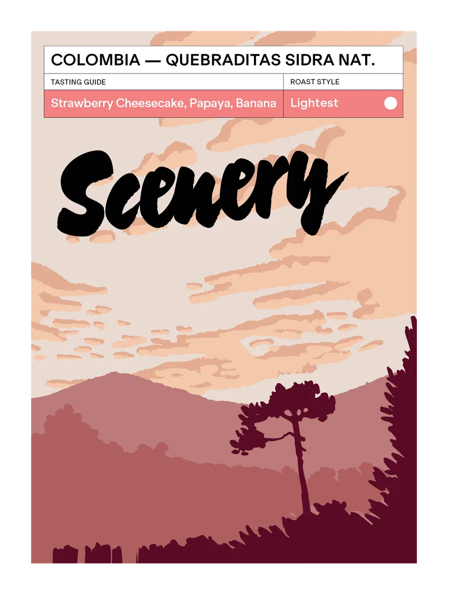 colombia - quebraditas sidra advanced natural coffee by scenery