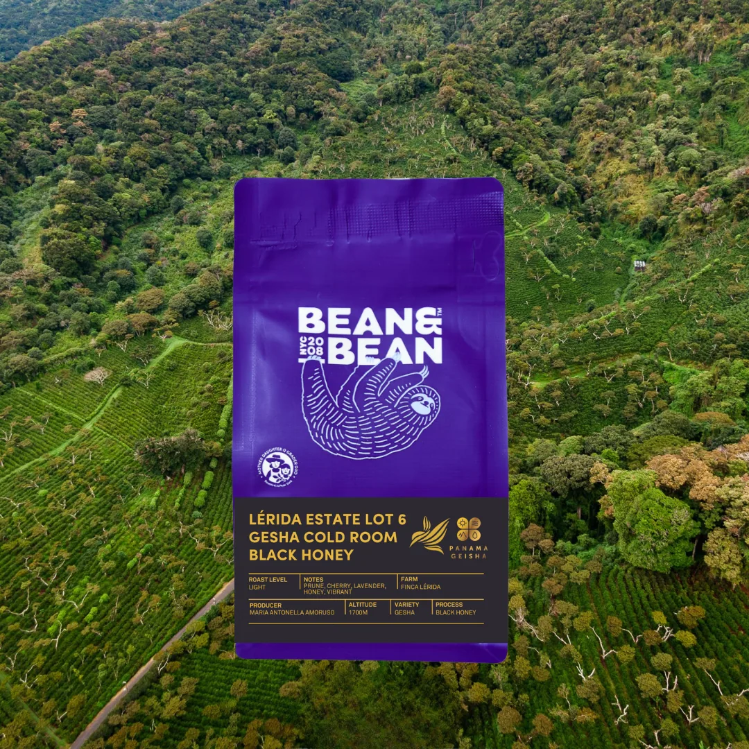panama lérida estate lot 6 gesha cold room black honey coffee by bean & bean queens — roastery & cafe