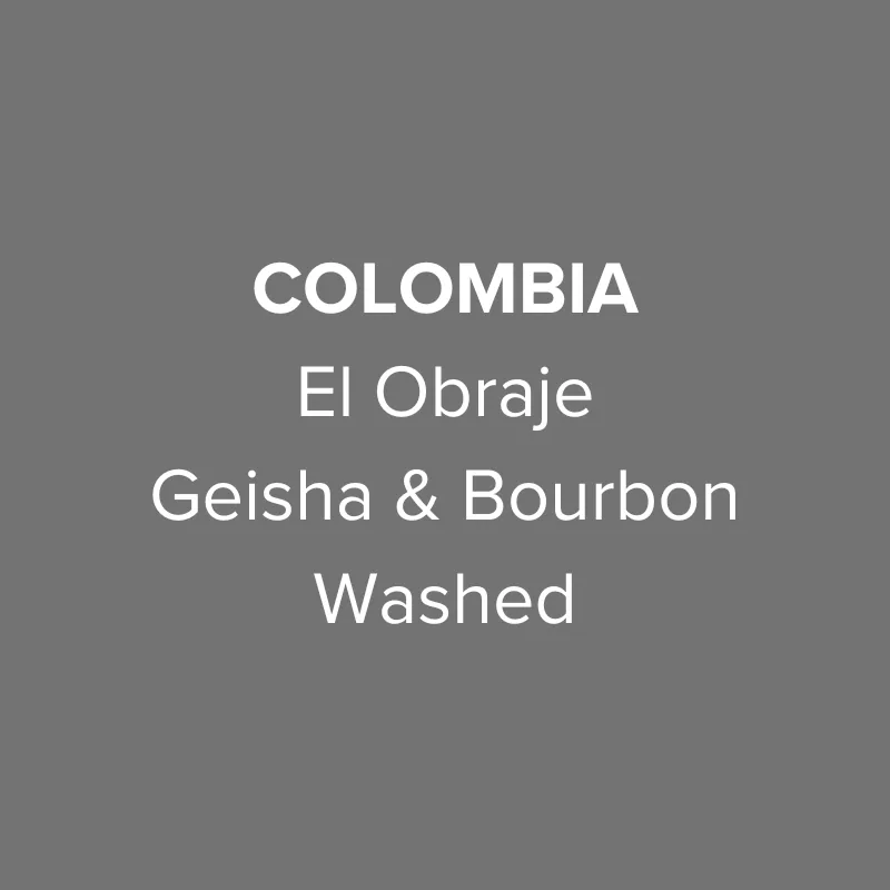 colombia el obraje geisha & bourbon washed coffee by oma coffee roaster