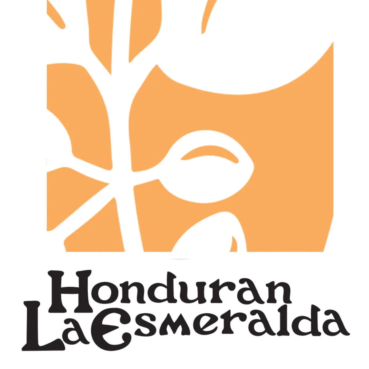 honduran la esmeralda anaerobic honey (8oz) coffee by valkyrie coffee roasters