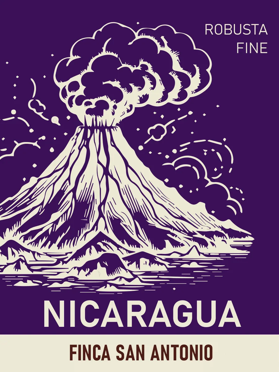 nicaragua – finca san antonio – fine robusta - nicaragua coffee by torrefazione adriatica f.lli bertini roma