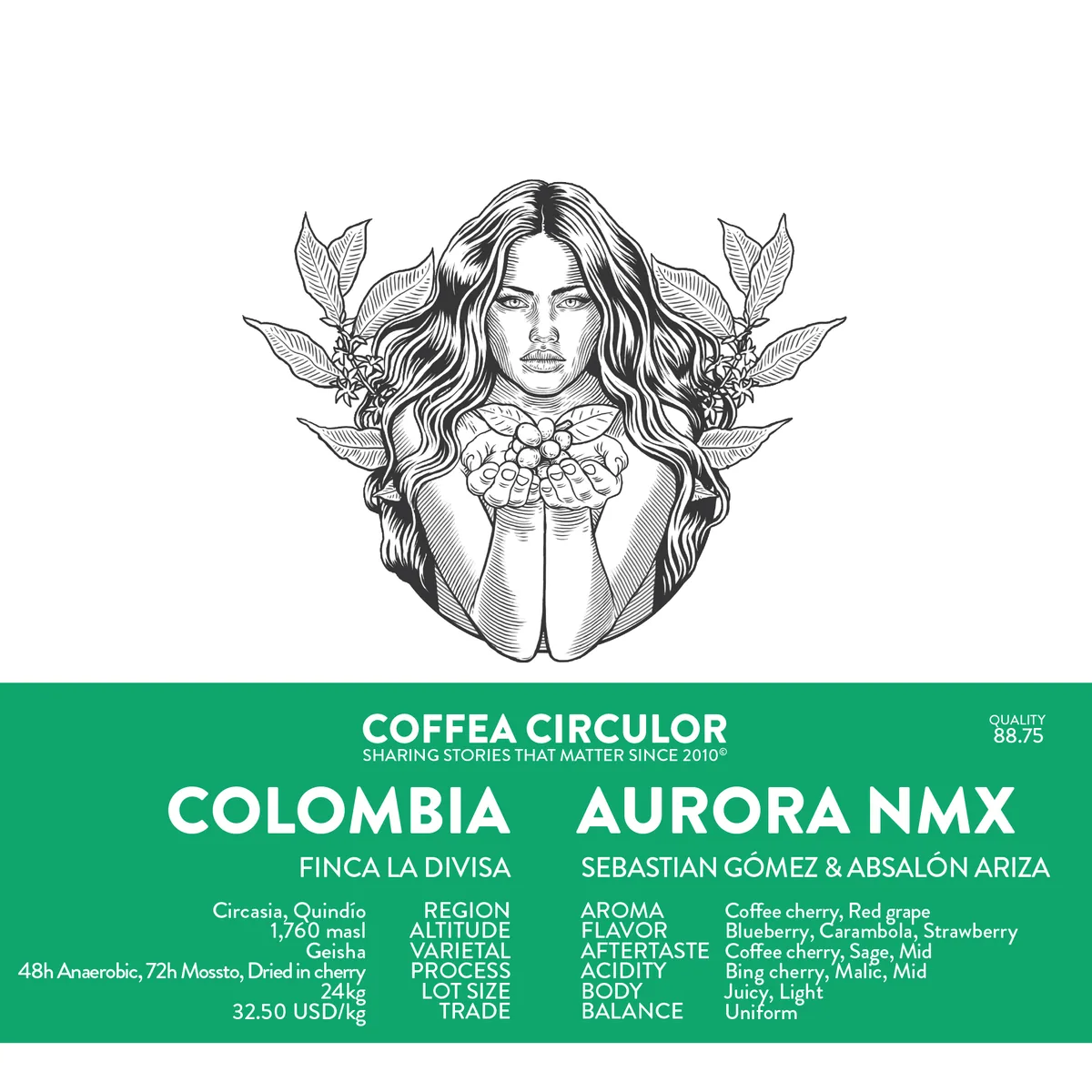colombia aurora geisha nmx macerated natural - colombia coffee by coffea circulor
