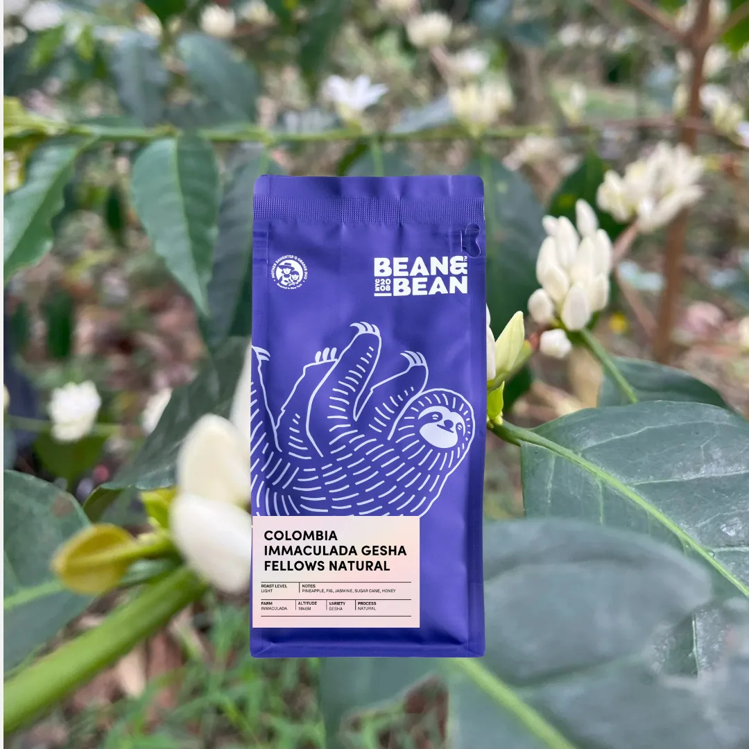 colombia immaculada gesha natural coffee by bean & bean queens — roastery & cafe