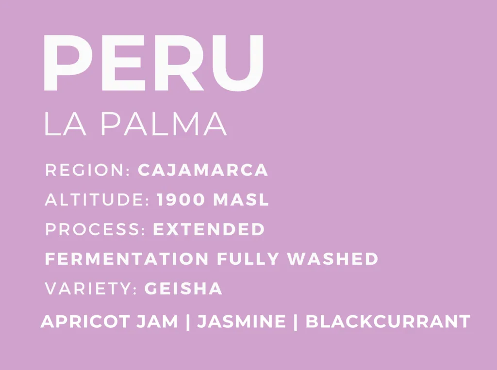 peru la palma coffee by patio coffee roasters