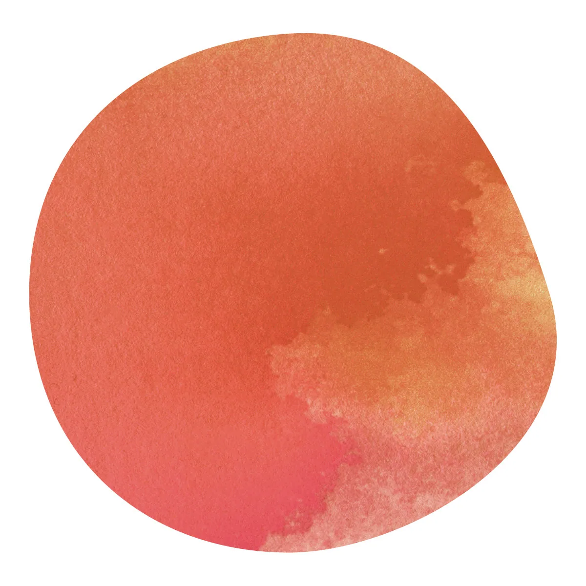 【販売終了】emerson vasquez -pacamara- / el salvador coffee by aoma coffee