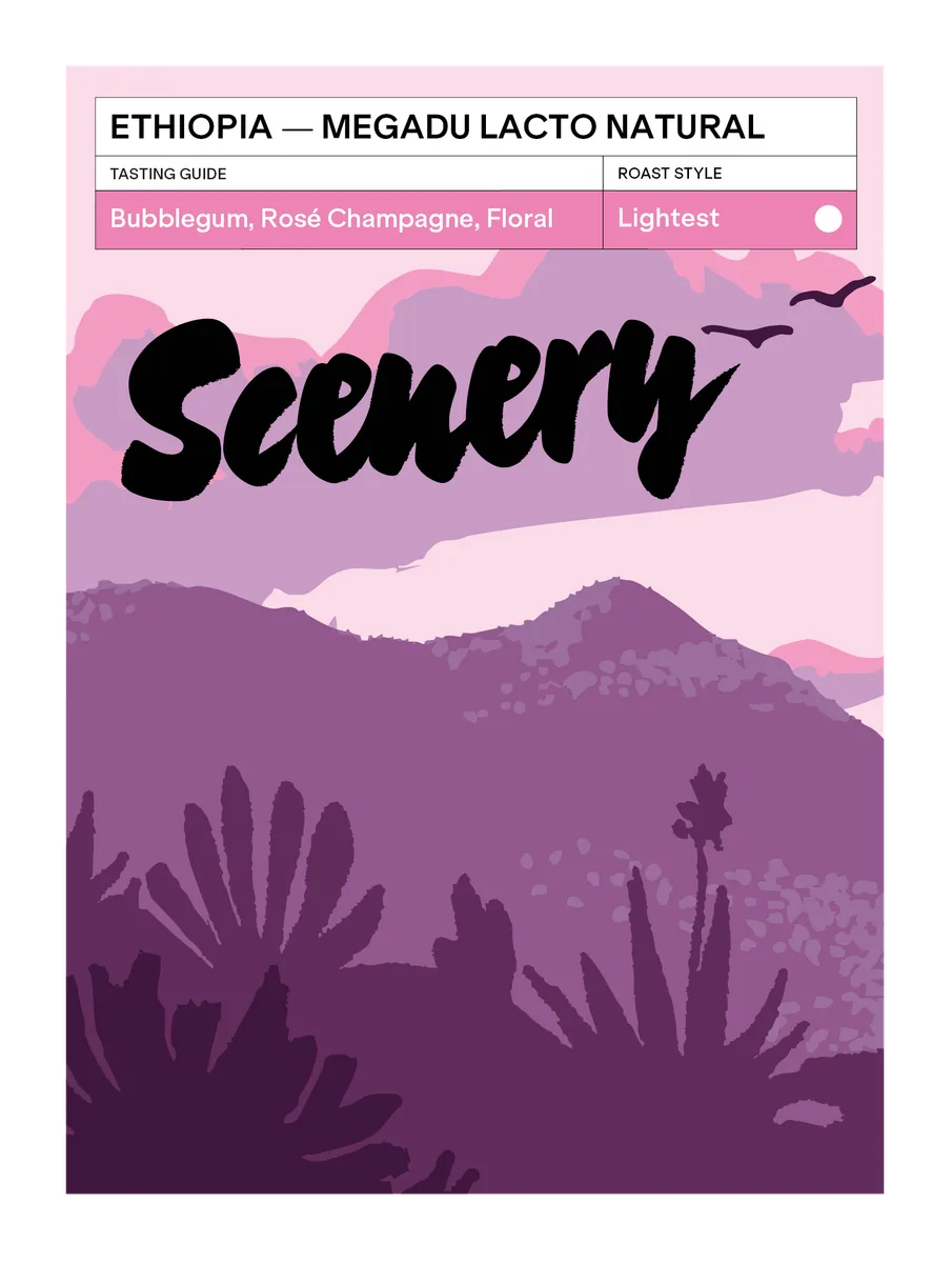ethiopia - megadu lacto natural - lot d [25/26] coffee by scenery