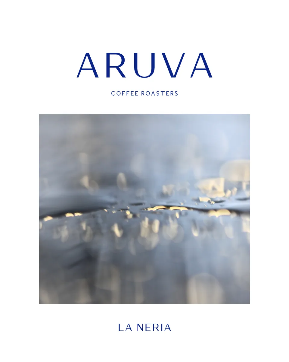 la neria - lavado - mexico coffee by aruva café