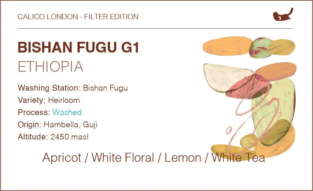 ethiopia bishan fugu heirloom g1 - washed coffee by calico coffee