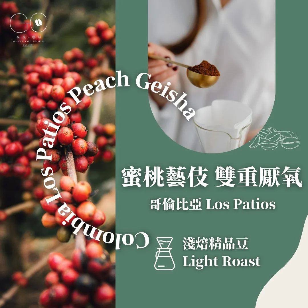 淺焙|哥倫比亞 薇拉省 los patios 蜜桃藝伎 水蜜桃蜜處理 colombia huila los patios geisha honey - colombia coffee by gazecafe
