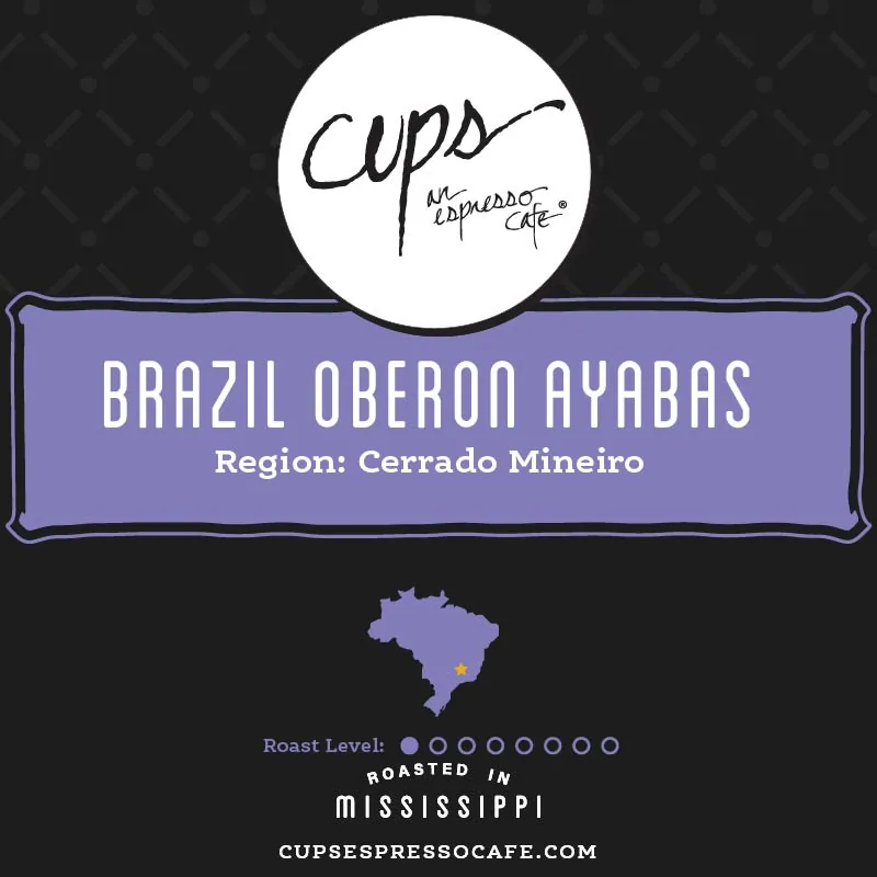 brazil oberon ayabas coffee by cups espresso cafe