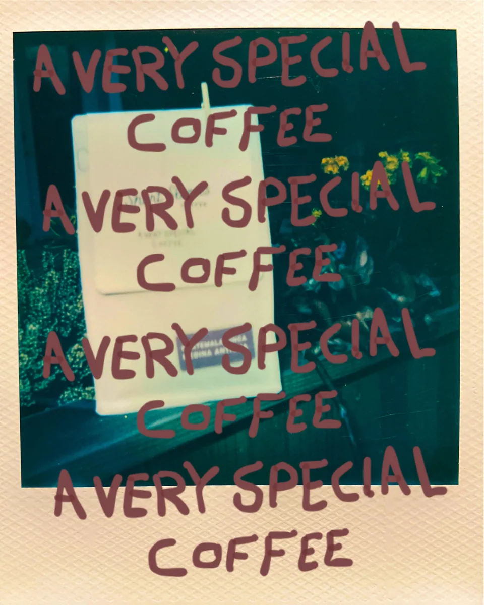 guatemala finca medina antigua coffee by short sleeves coffee