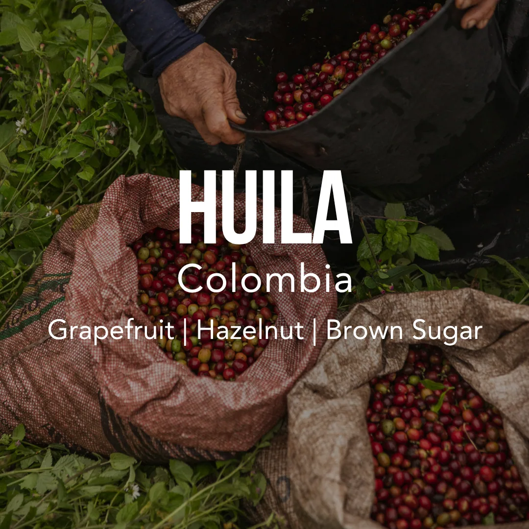 colombia huila excelso coffee by excelso coffee