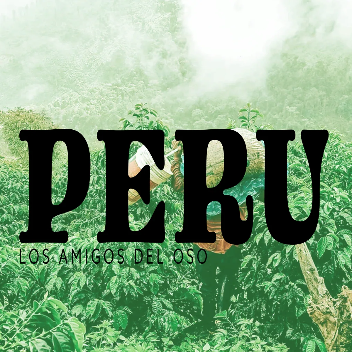 peru los amigos del oso coffee by deluxe coffeeworks roastery & espresso bar
