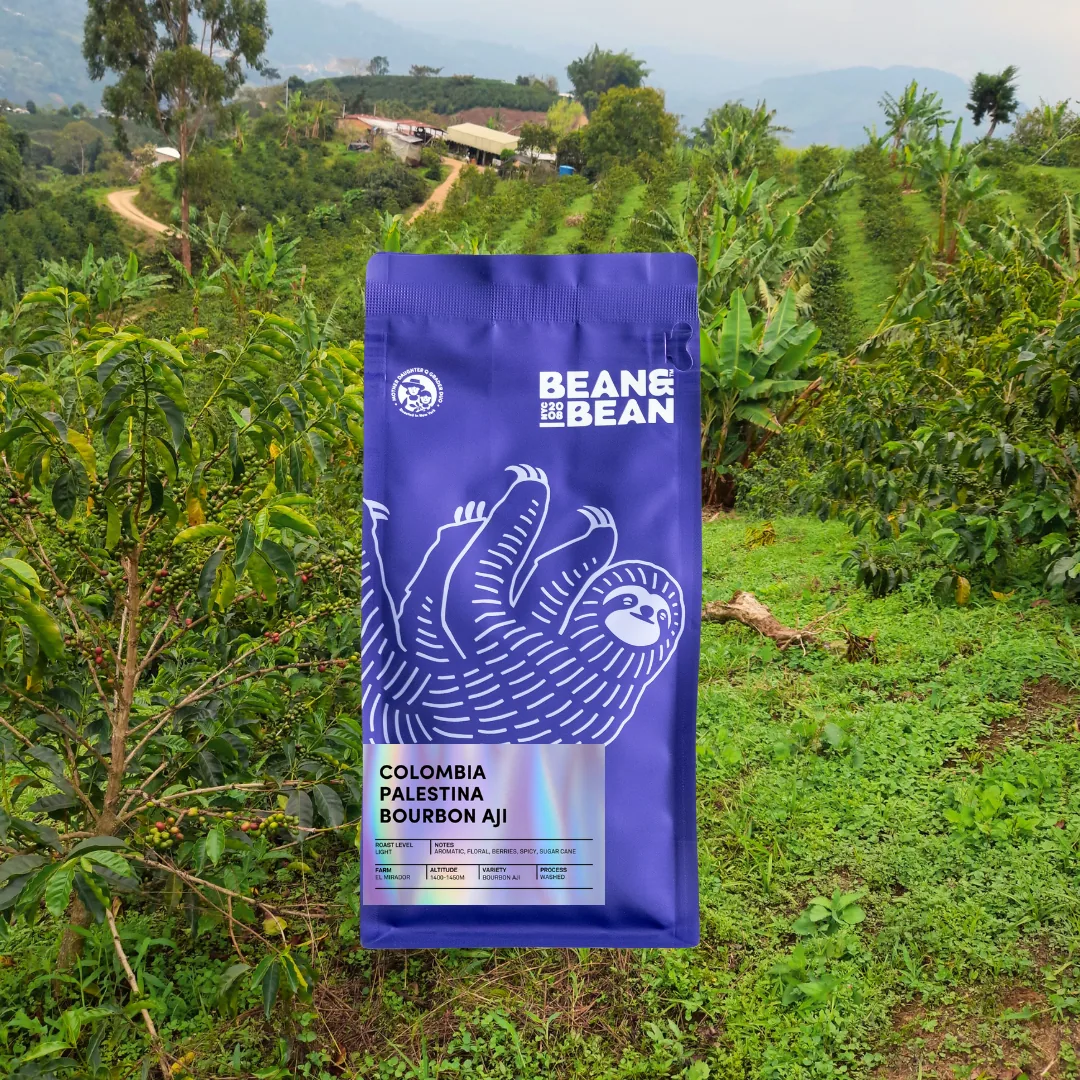 colombia palestina bourbon aji coffee by bean & bean queens — roastery & cafe