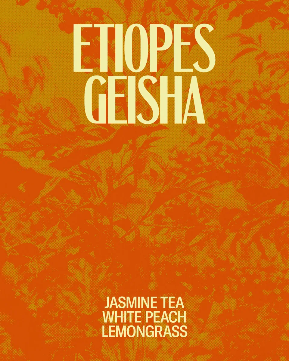 etíopes geisha coffee by red bank coffee roasters