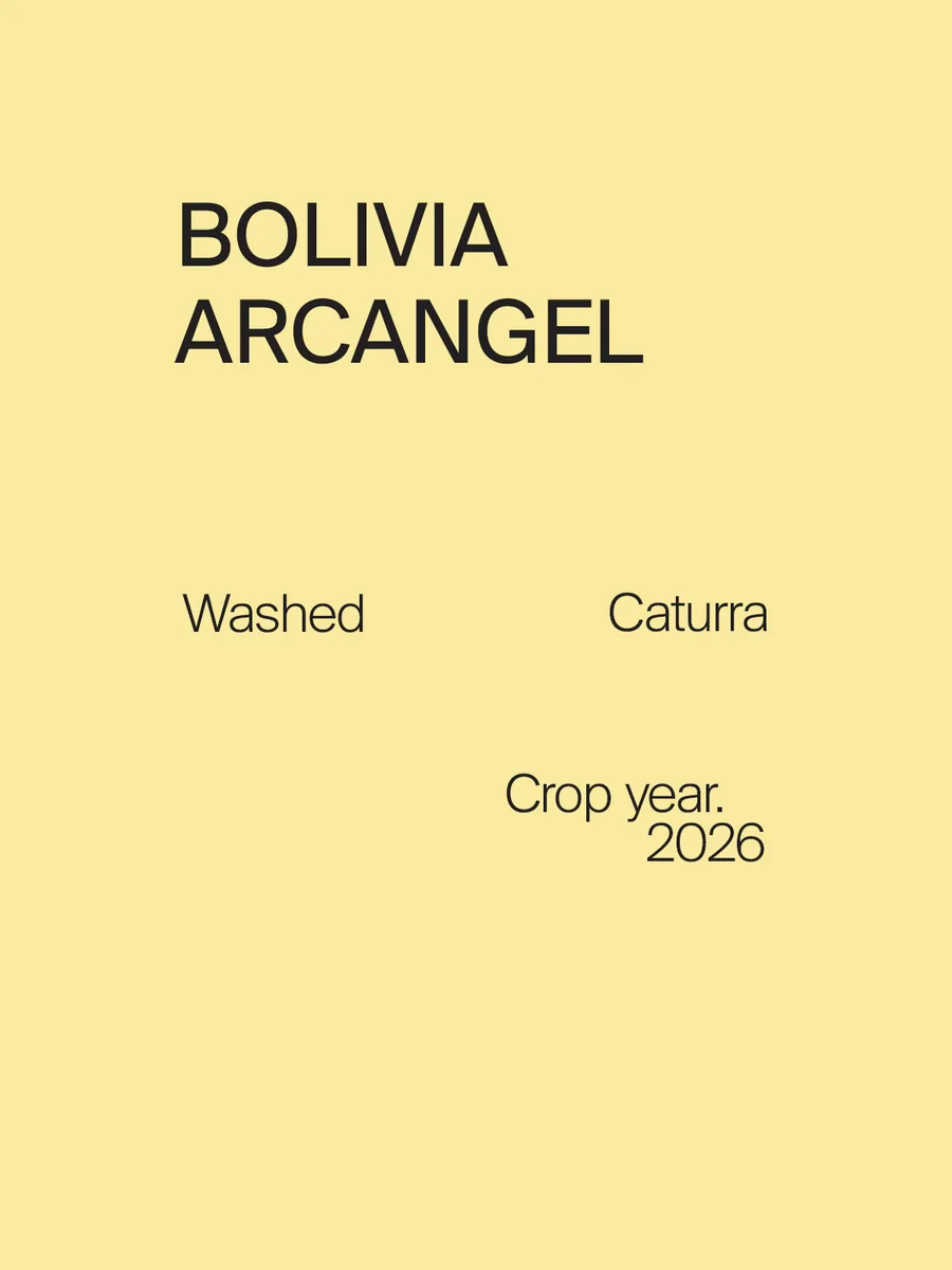 bolivia arcangel caturra washed - bolivia coffee by one half