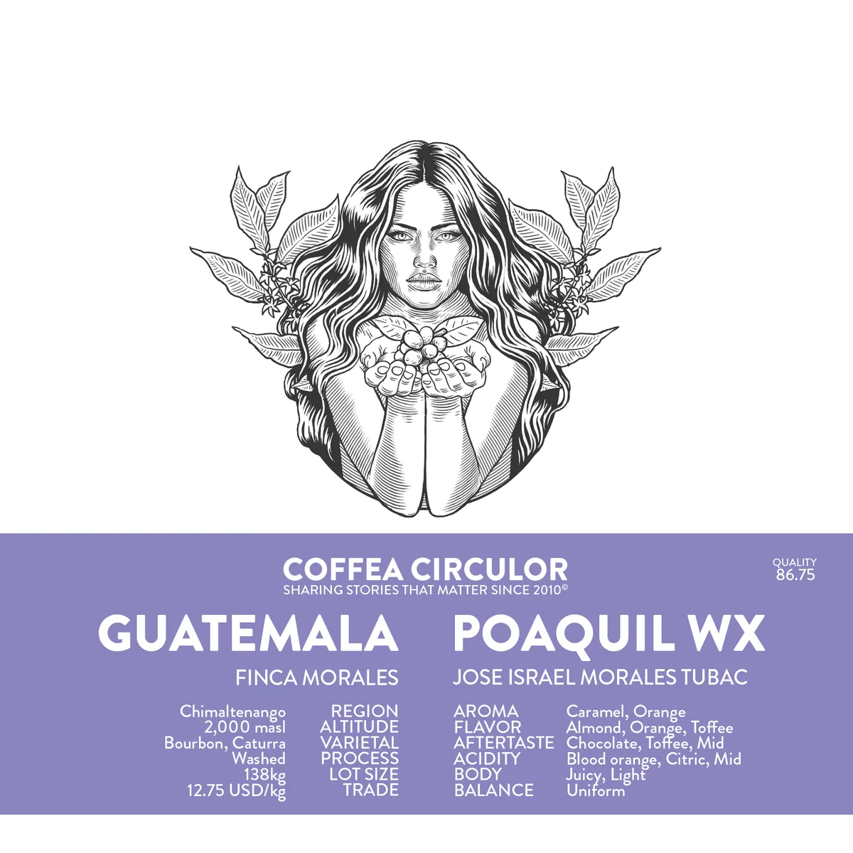 guatemala poaquil washed wx (espresso) - guatemala coffee by coffea circulor