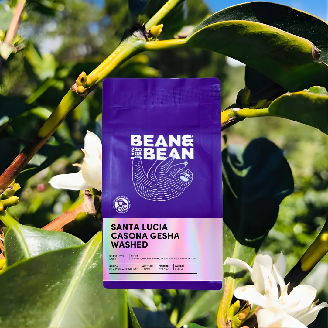honduras santa lucia casona gesha washed coffee by bean & bean queens — roastery & cafe