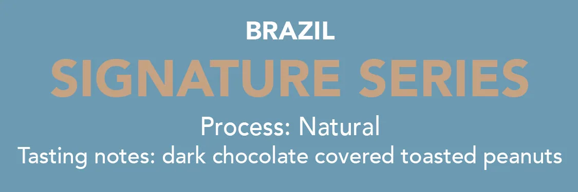 dose - brazil signature series coffee by methodical coffee