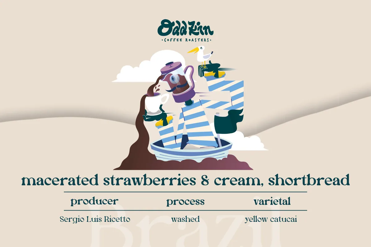 sergio luis ricetto, brazil coffee by oddkin coffee roasters