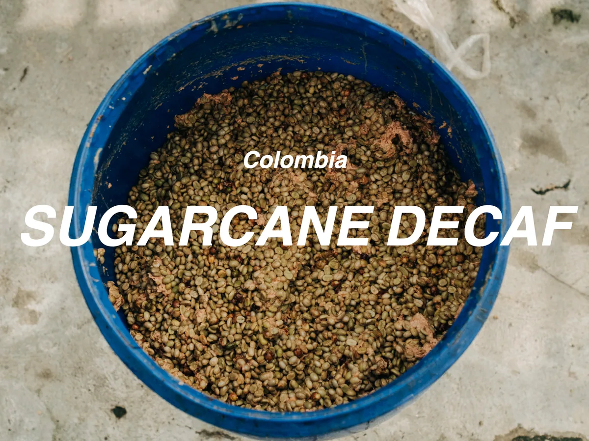 哥倫比亞 蔗糖處理法 低咖啡因咖啡(colombia la serrania sugarcane decaf) - colombia coffee by moonshine coffee roasters | 私釀咖啡商行 (敦南旗艦店)